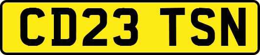 CD23TSN
