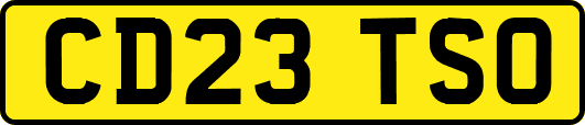 CD23TSO
