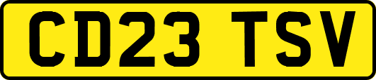 CD23TSV
