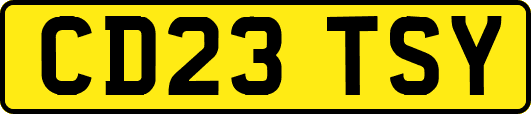 CD23TSY