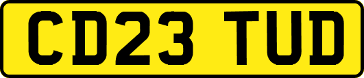 CD23TUD