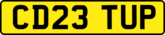 CD23TUP