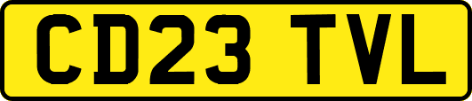 CD23TVL