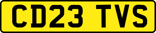 CD23TVS