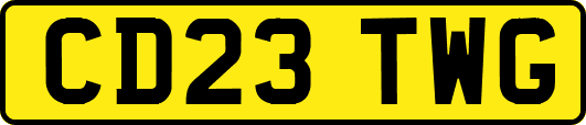 CD23TWG