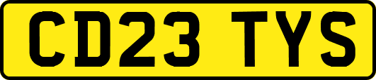 CD23TYS