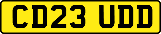 CD23UDD