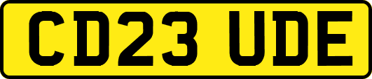 CD23UDE