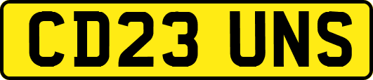 CD23UNS