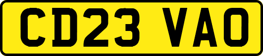 CD23VAO