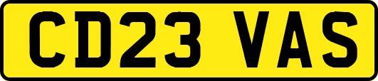 CD23VAS