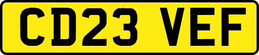 CD23VEF
