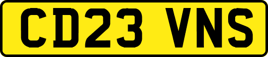 CD23VNS