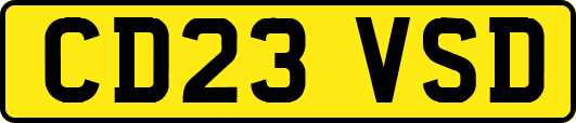 CD23VSD