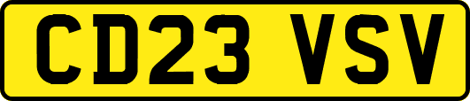 CD23VSV