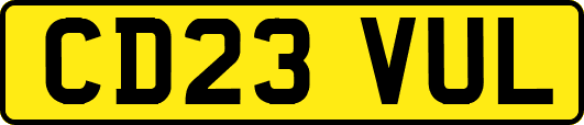 CD23VUL