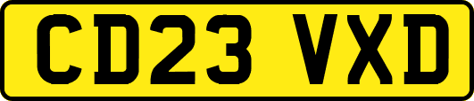 CD23VXD