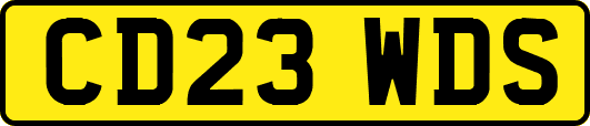 CD23WDS