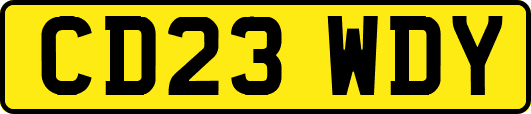 CD23WDY