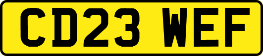 CD23WEF