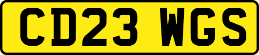 CD23WGS
