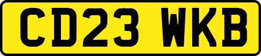 CD23WKB