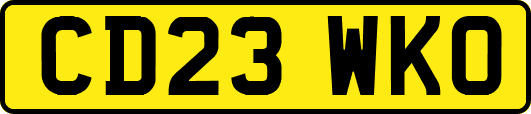 CD23WKO