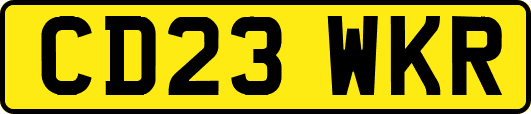CD23WKR