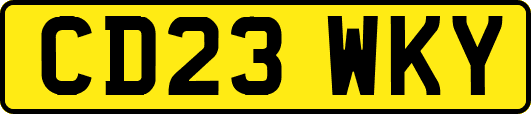CD23WKY
