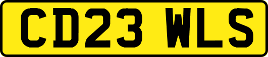 CD23WLS