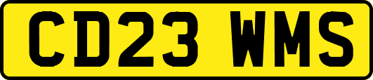 CD23WMS