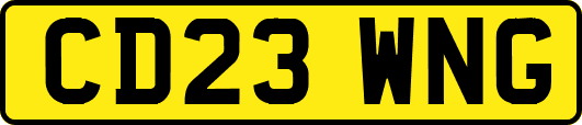 CD23WNG