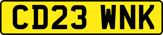 CD23WNK