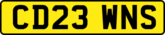 CD23WNS