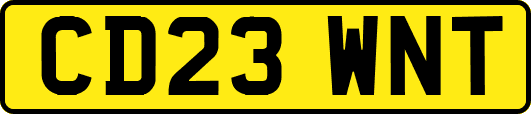 CD23WNT
