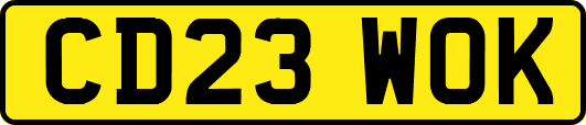 CD23WOK
