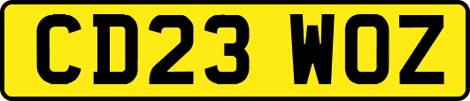 CD23WOZ