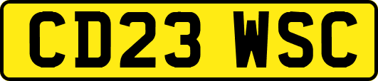 CD23WSC