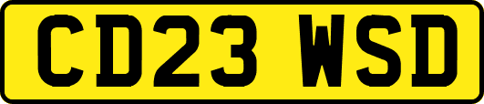 CD23WSD