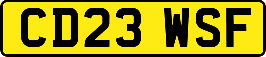 CD23WSF