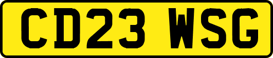 CD23WSG