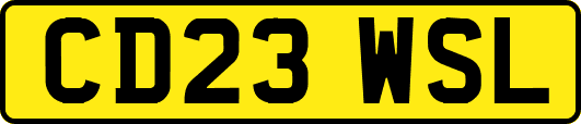 CD23WSL