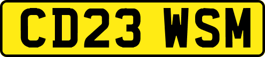 CD23WSM