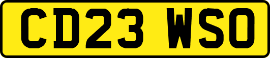 CD23WSO