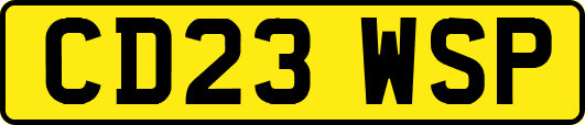 CD23WSP