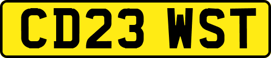 CD23WST