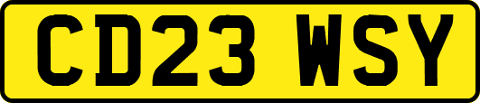 CD23WSY