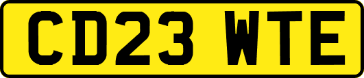 CD23WTE