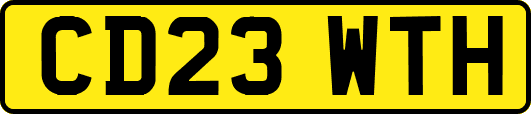 CD23WTH