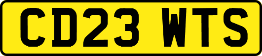 CD23WTS